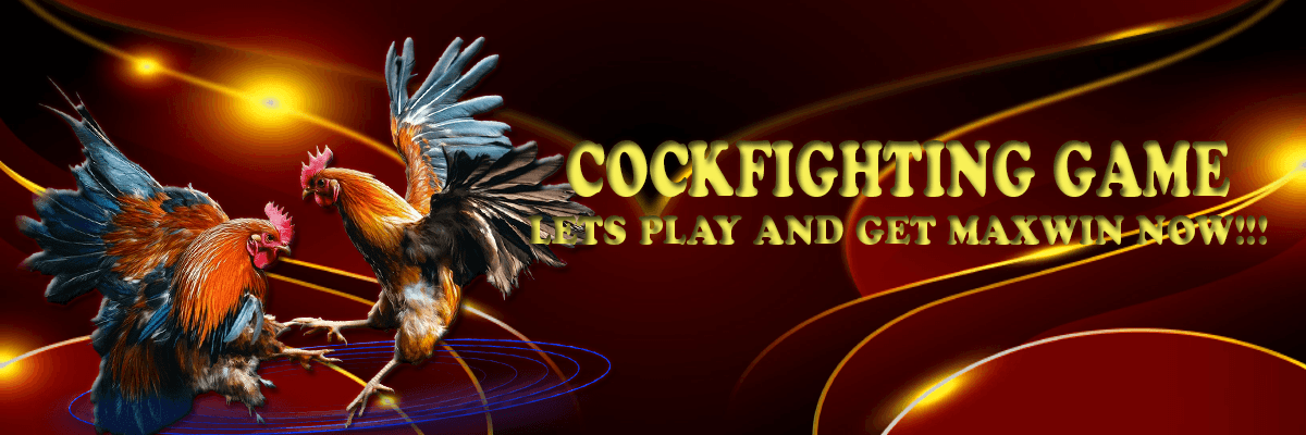 Sabung Ayam - IMELPLAY - Platform Game Terpercaya